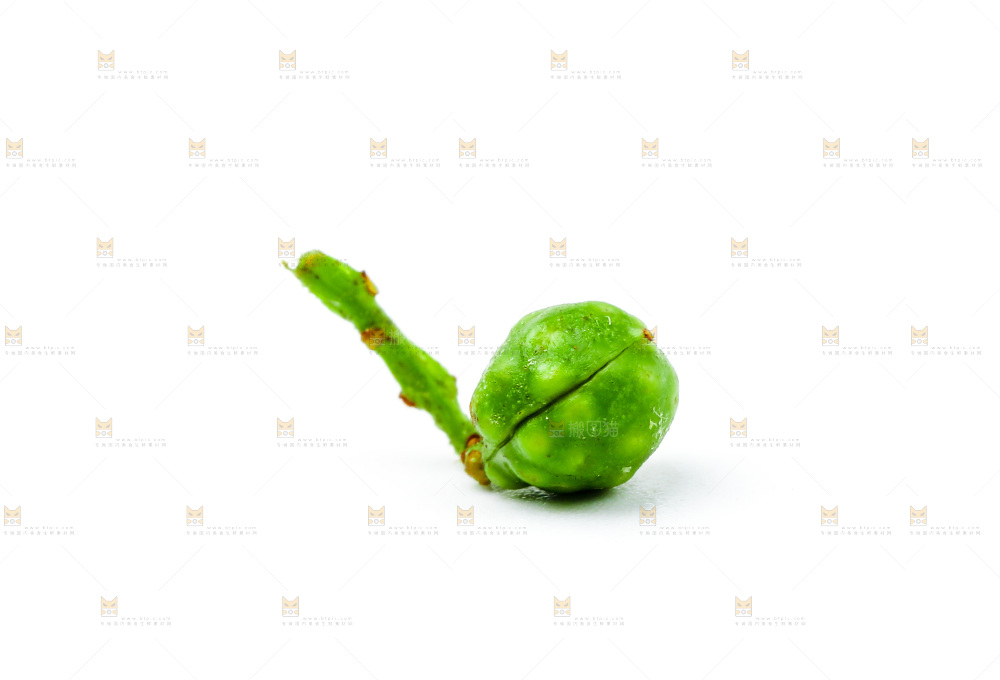 白底上的新鲜藤椒