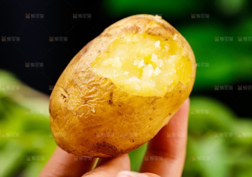 手拿黄心土豆