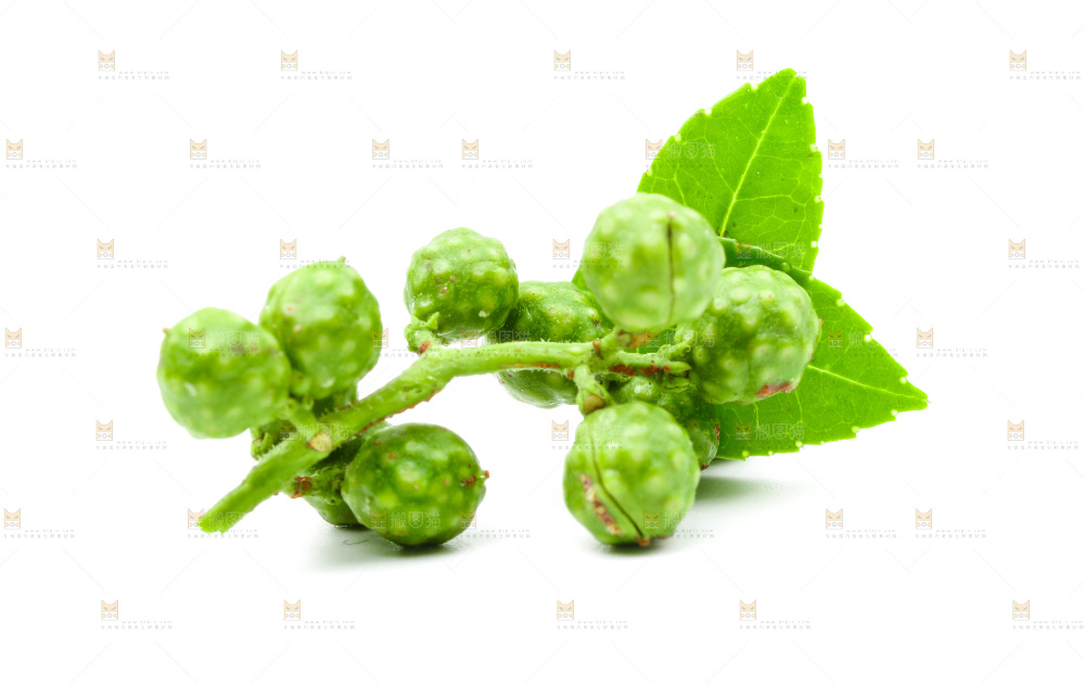 白底上的青花椒