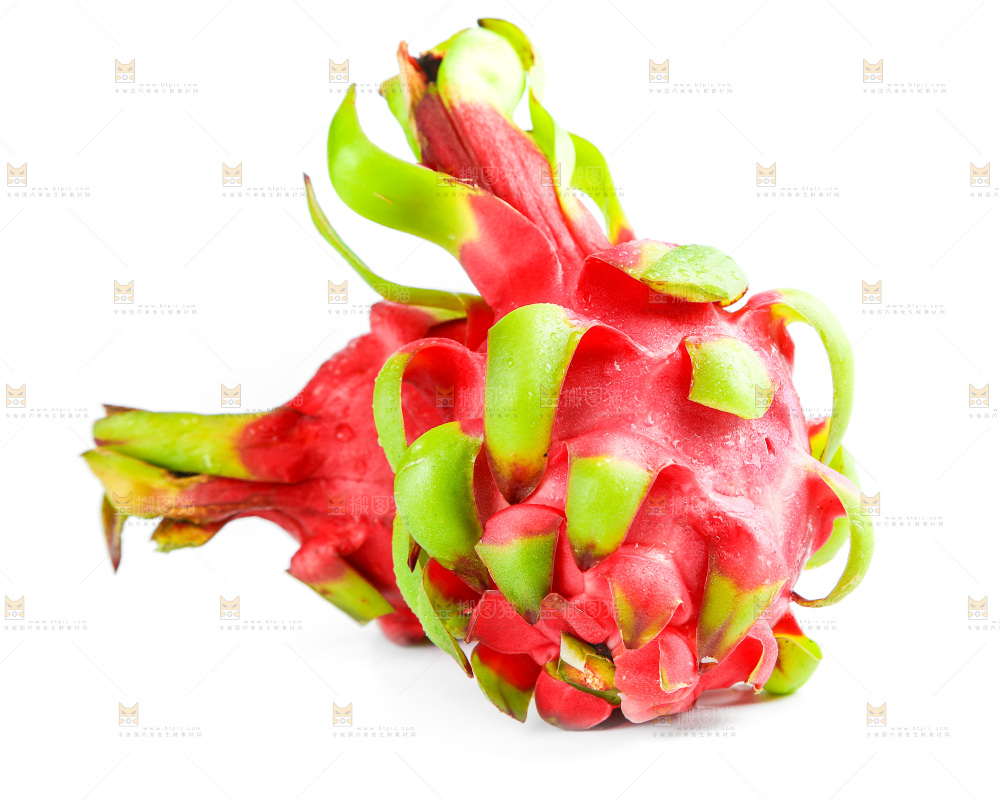 白底上的火龙果