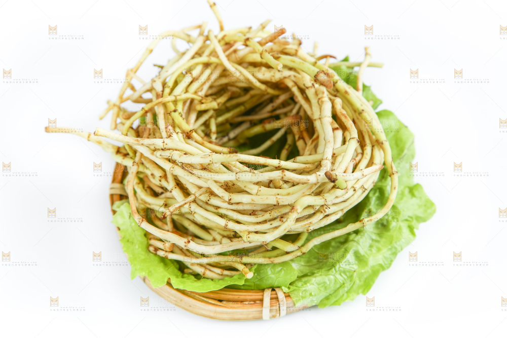白底上的鱼腥草