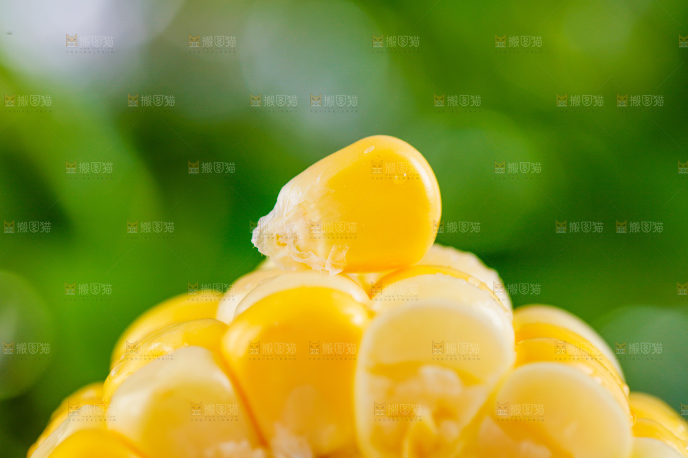 水果玉米