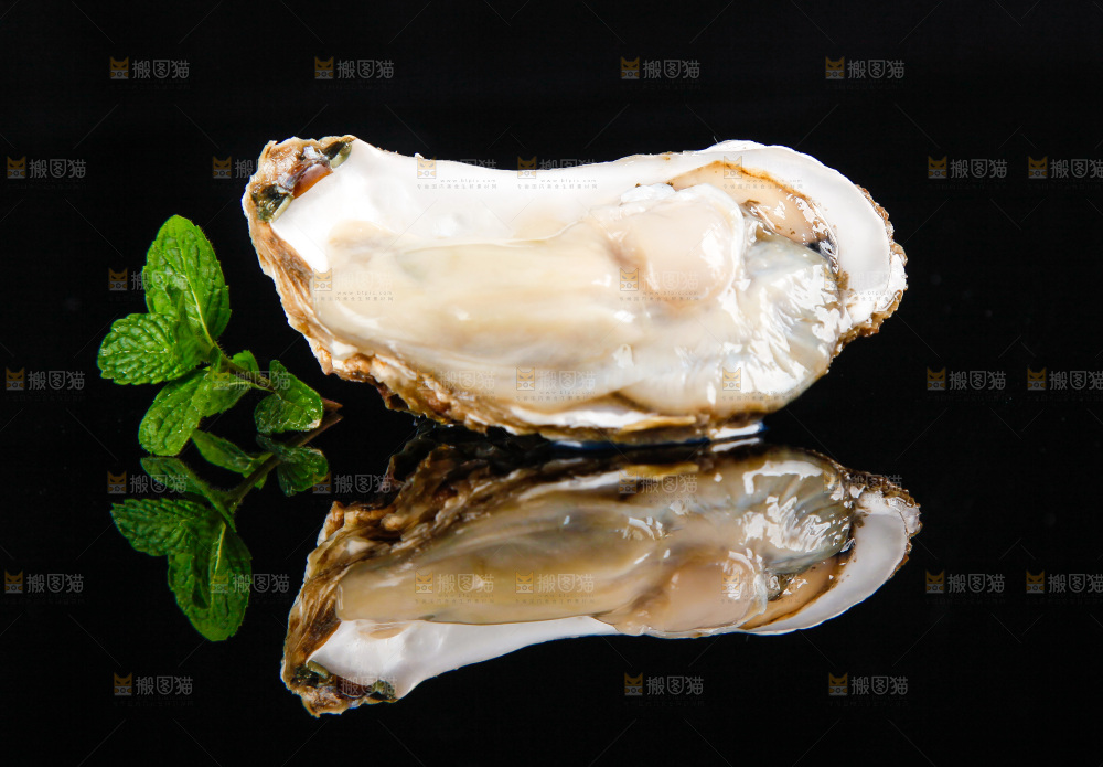 黑底上放着海蛎子