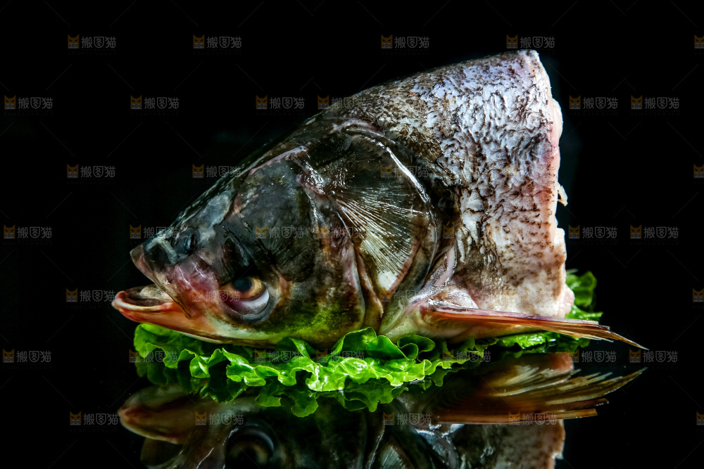 黑底上的鱼头