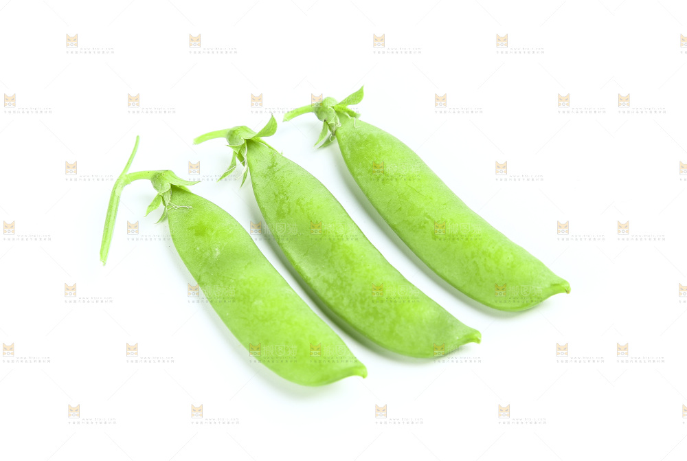 白底上的豌豆荚