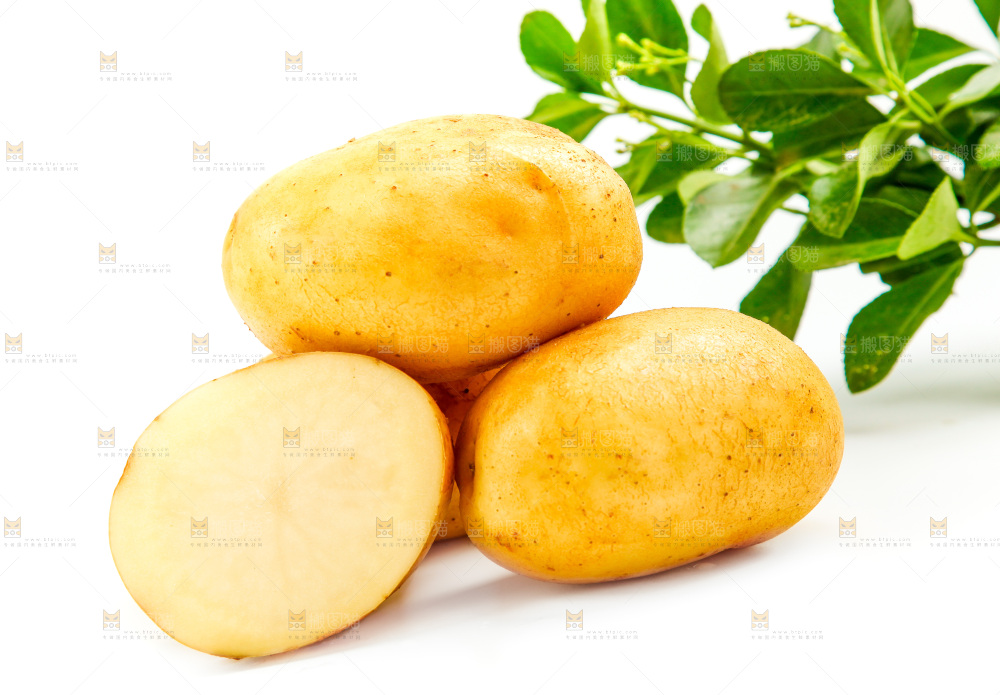 新鲜土豆放在白底上