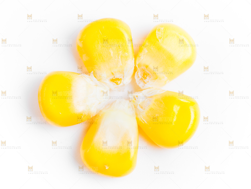 白底上的甜玉米