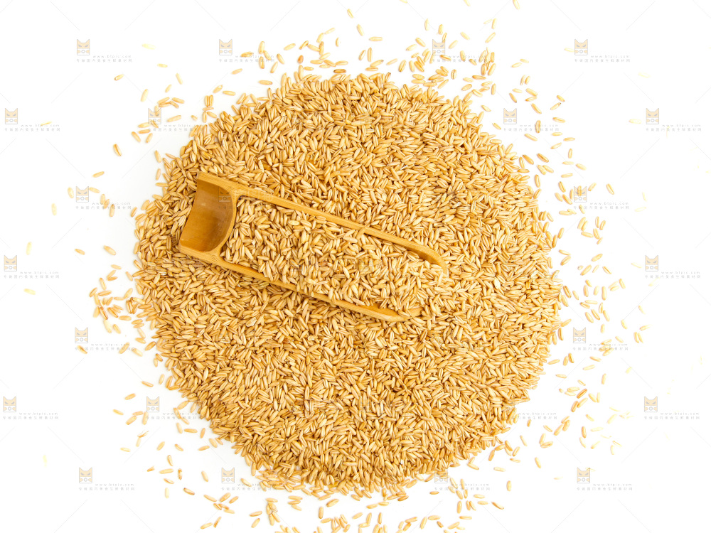 白底上的燕麦米