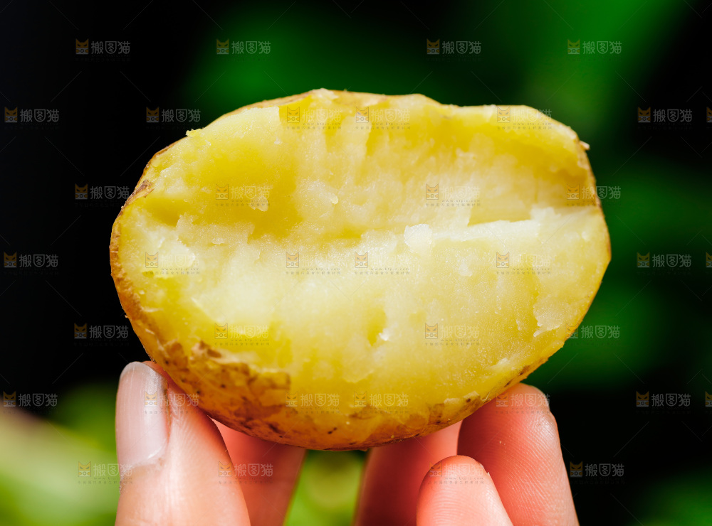 手拿黄心土豆