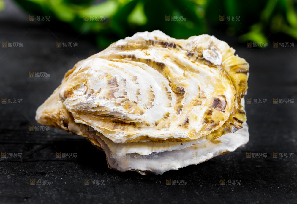 黑底上放着海蛎子