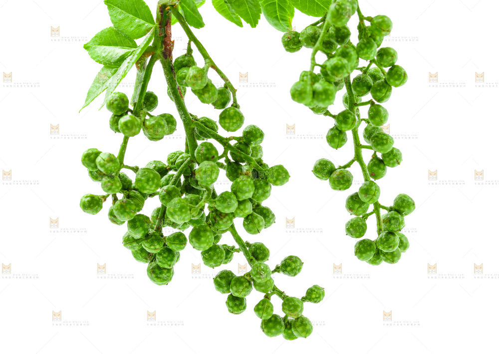 白底上的新鲜藤椒