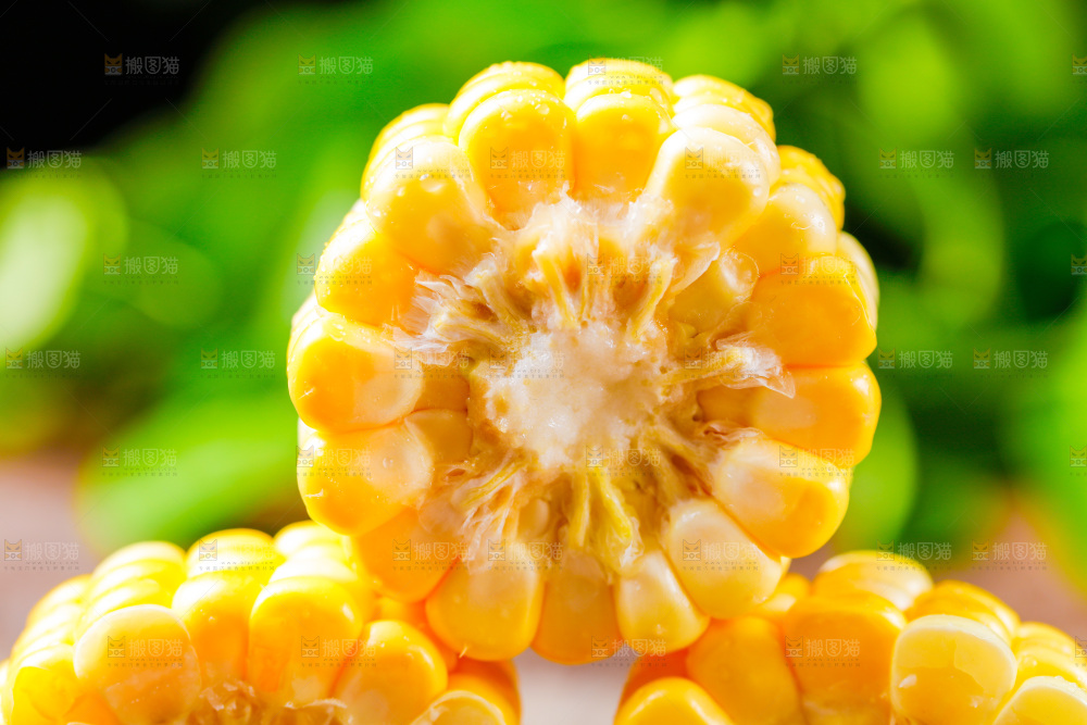 云南水果甜玉米放在木底上