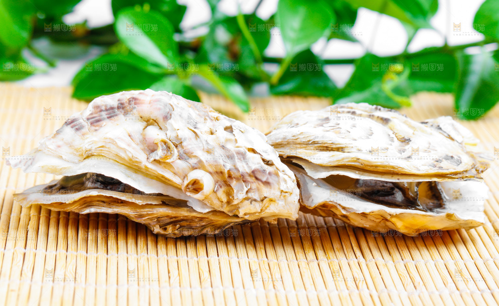 木底上放着乳山生蚝