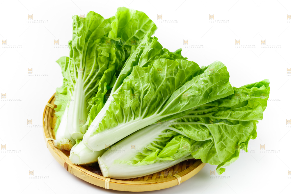 白底上的小白菜