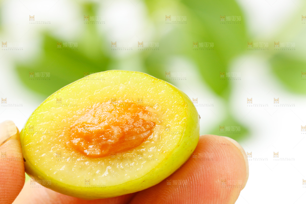 手里拿着新鲜橄榄