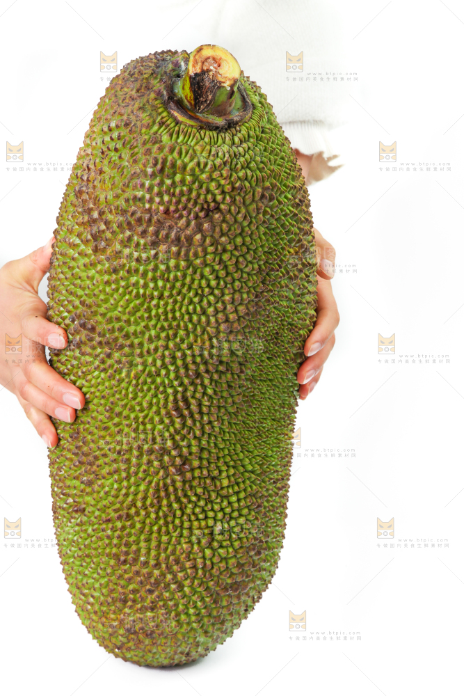 白底上放着海南菠萝蜜