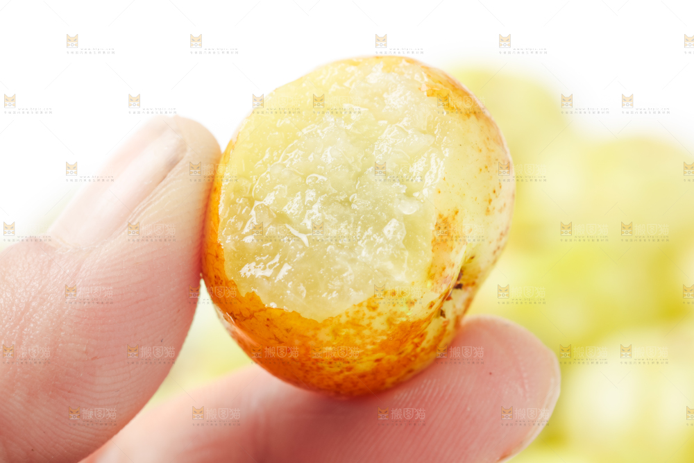 手里拿着新鲜油甘果