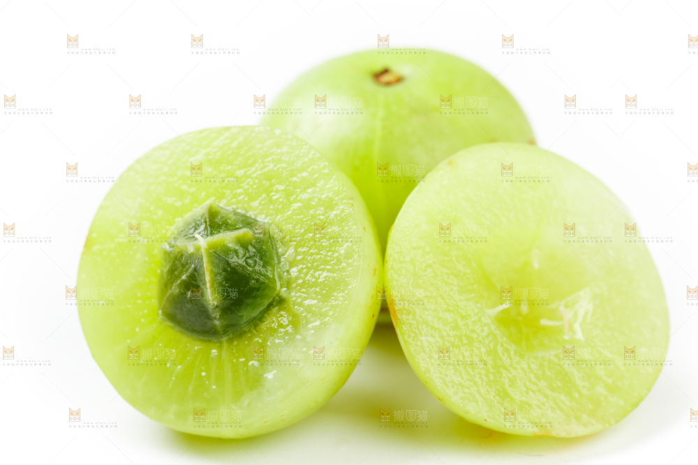 白底上的余甘果