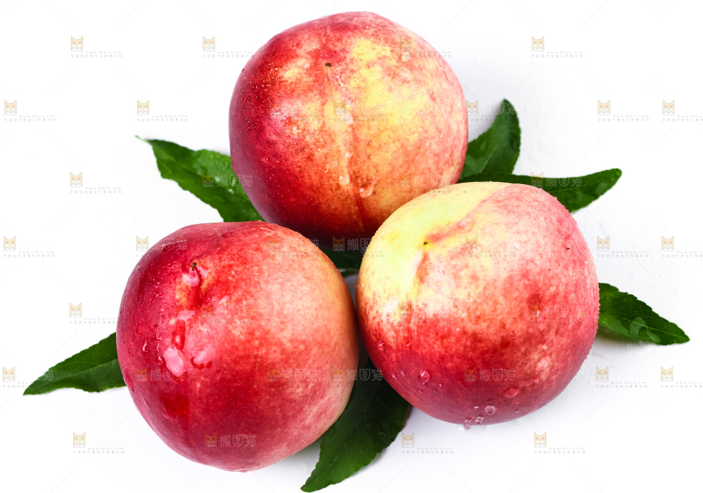 白底上摆放着油桃