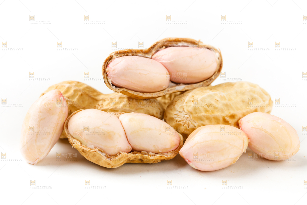 白底上的花生
