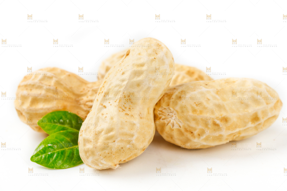白底上的花生