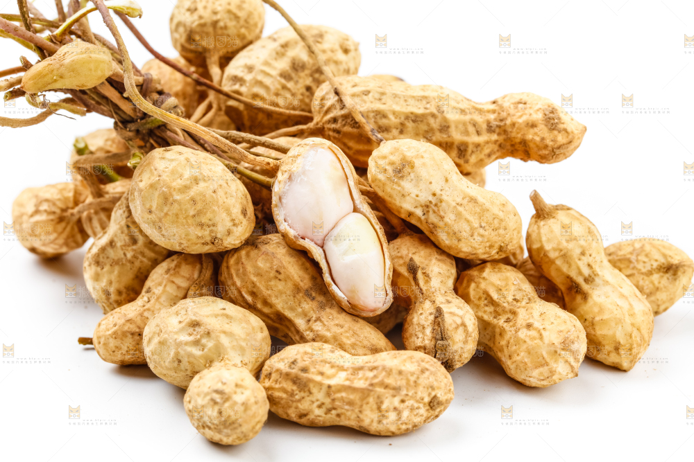 白底上放着一堆鲜花生