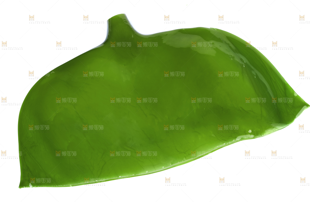 白底上摆放着海带头