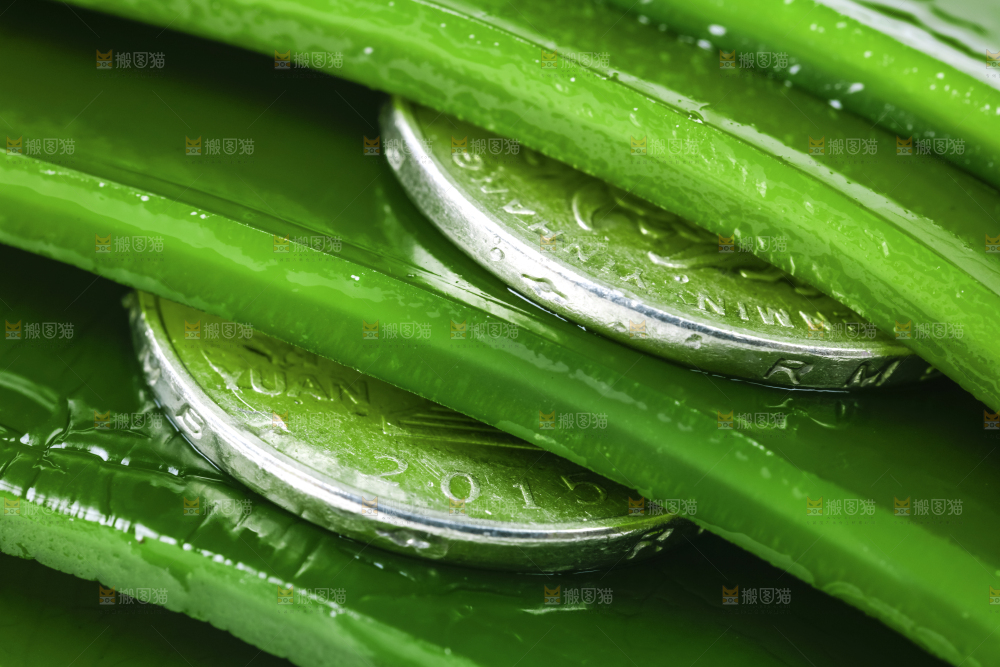 摆放着一堆的新鲜海带