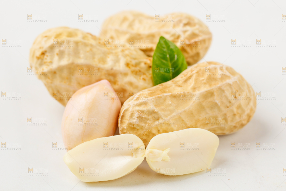 白底上的湿花生和花生米