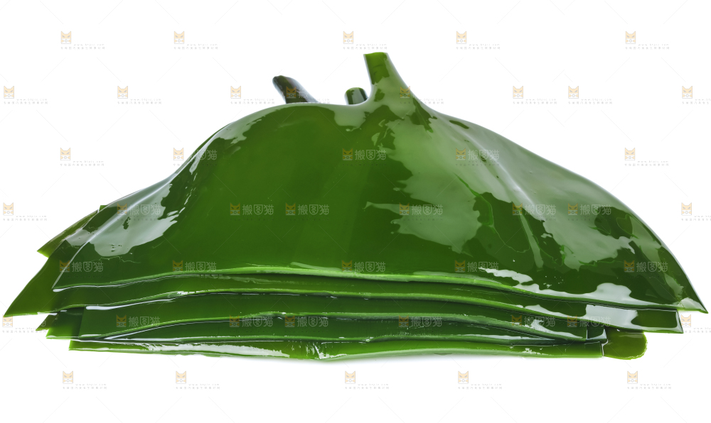 白底上摆放着海带头