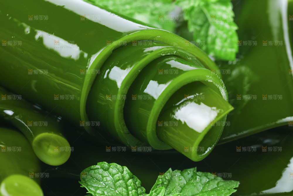摆放着一堆的新鲜海带头