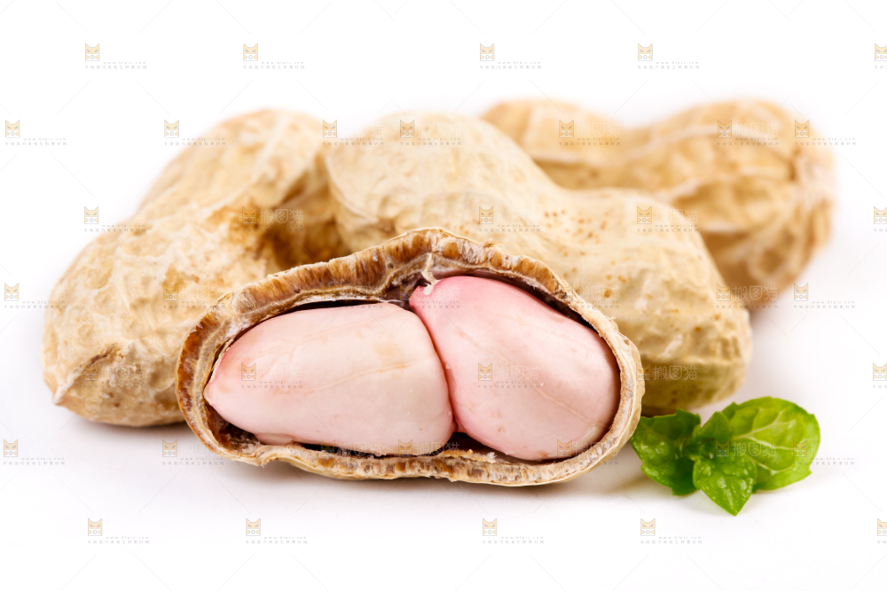 白底上的湿花生