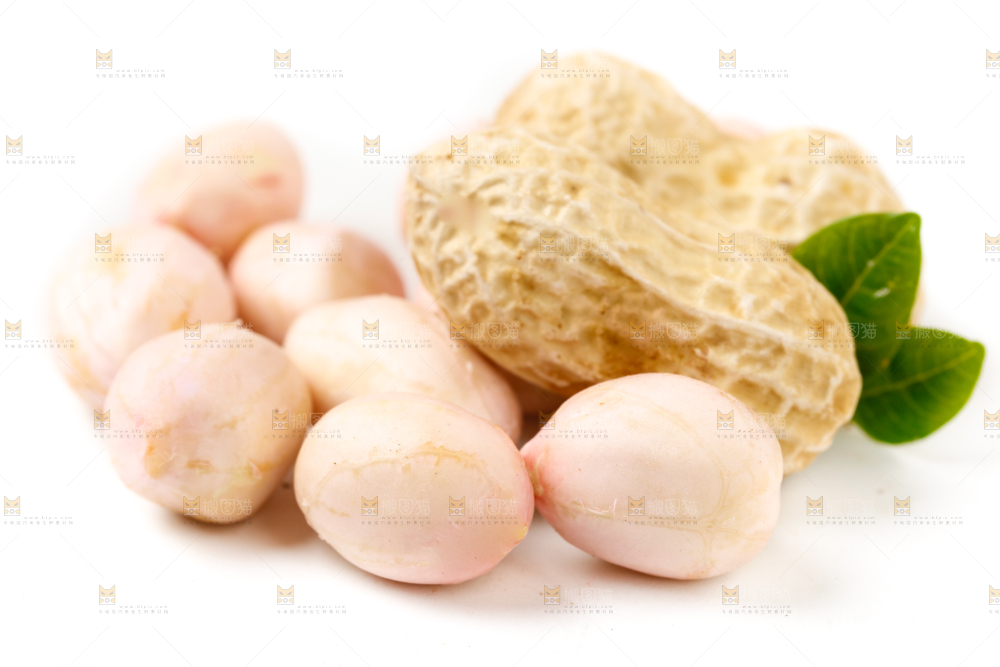 白底上的湿花生和花生米