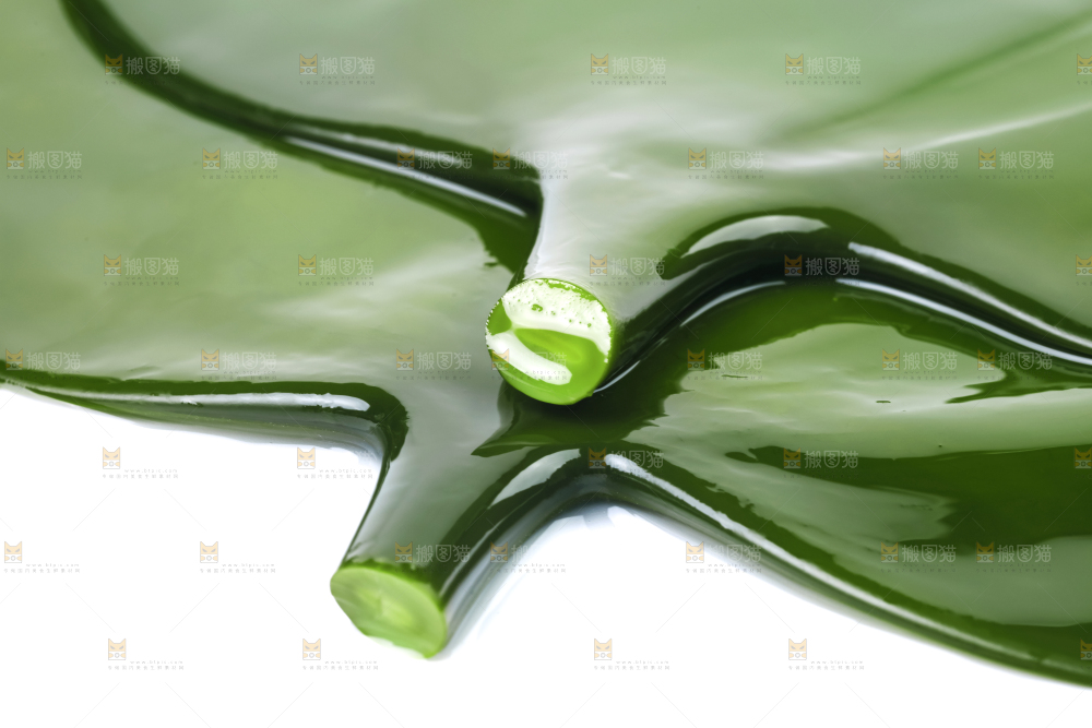 白底上摆放着海带头