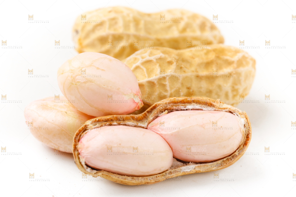 白底上的湿花生和花生米