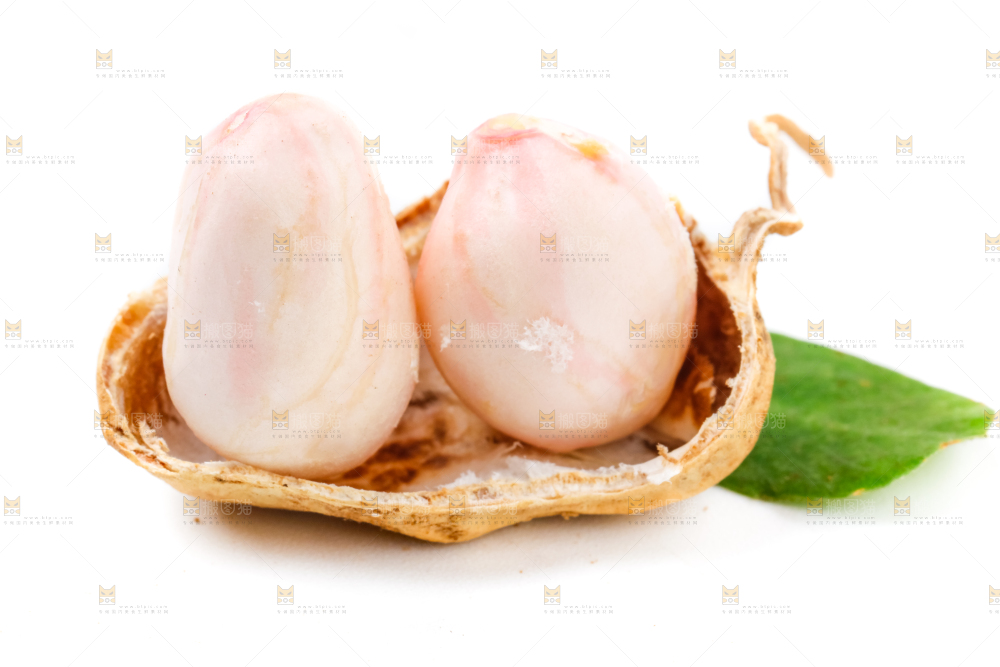 白底上的花生米