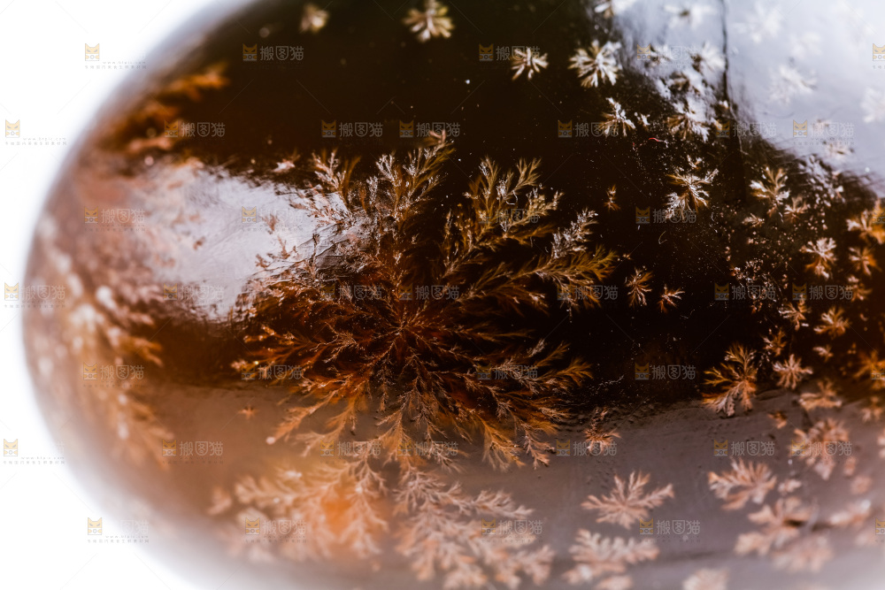 白底上放着松花蛋