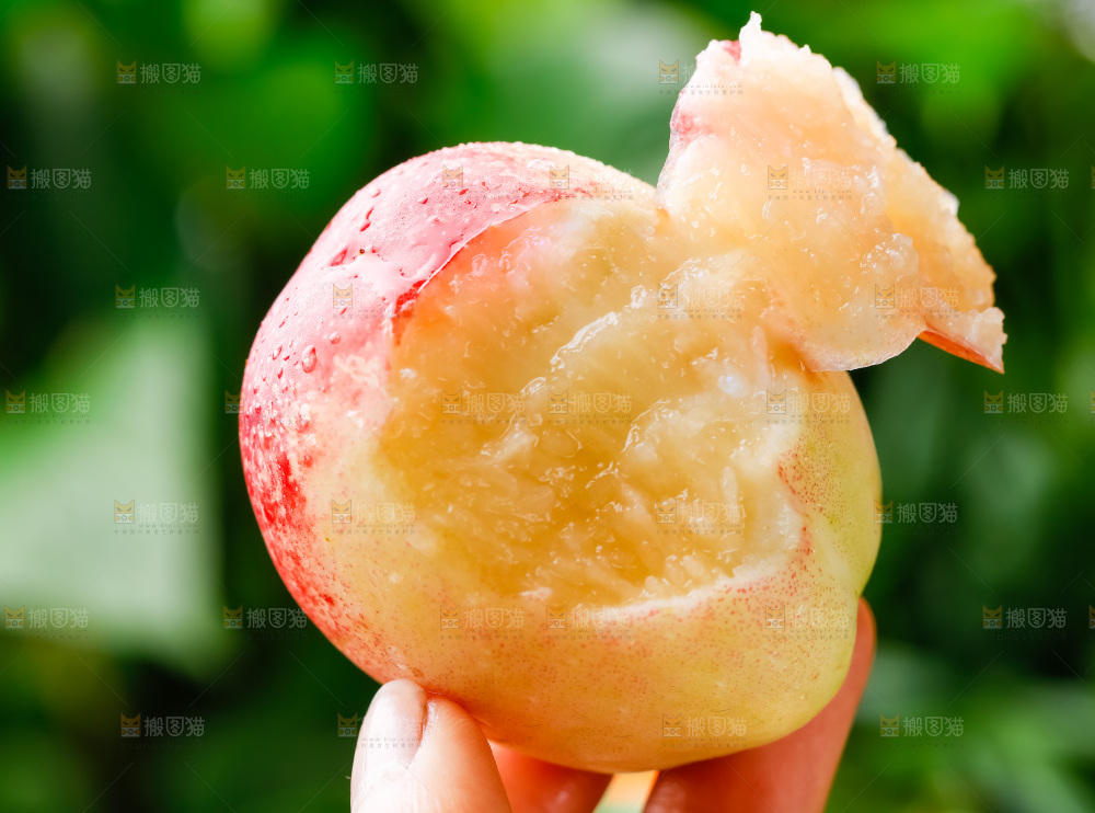 手拿白心油桃