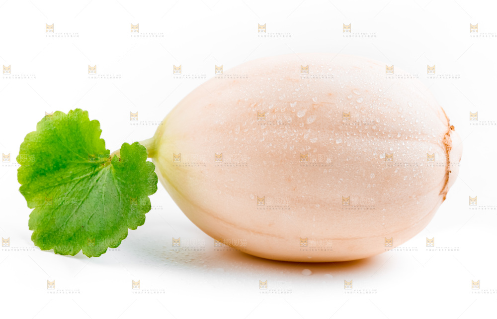 白底上的东方蜜瓜