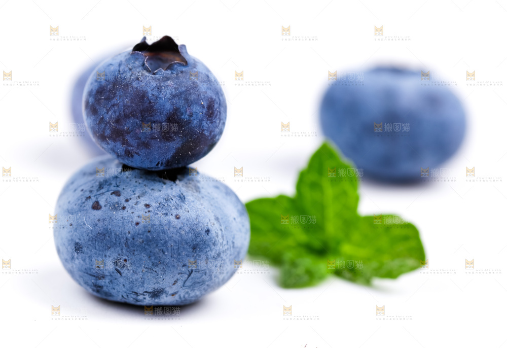 白底上放着新鲜蓝莓