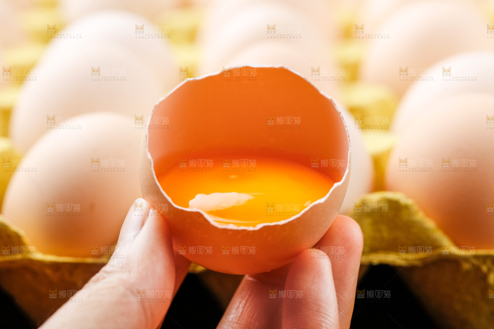 手拿新鲜鸡蛋