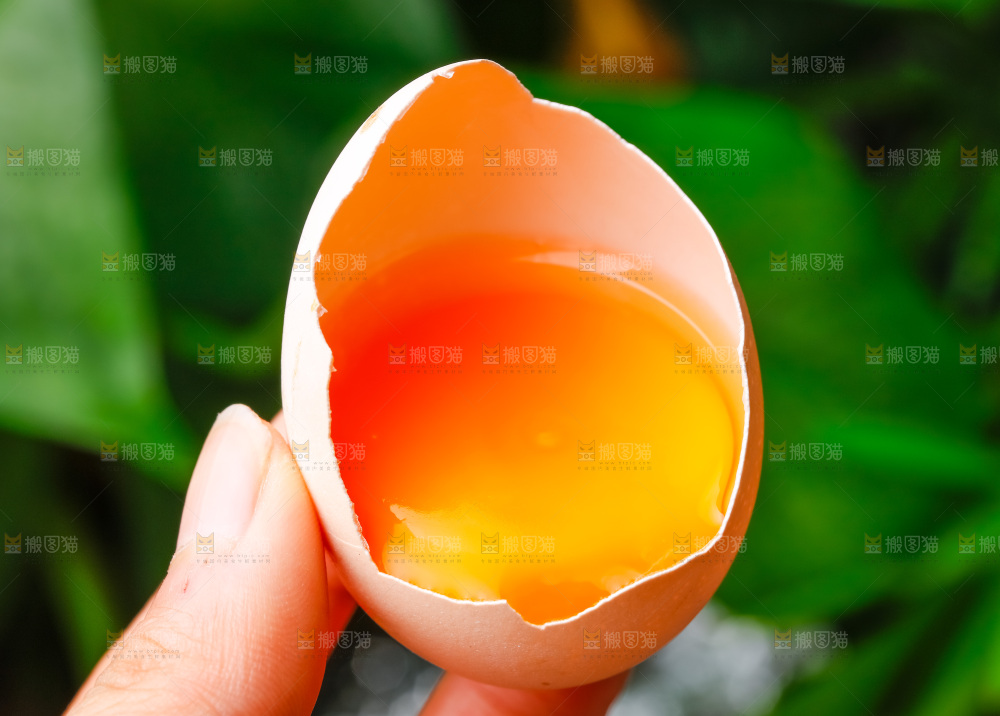 手拿新鲜土鸡蛋