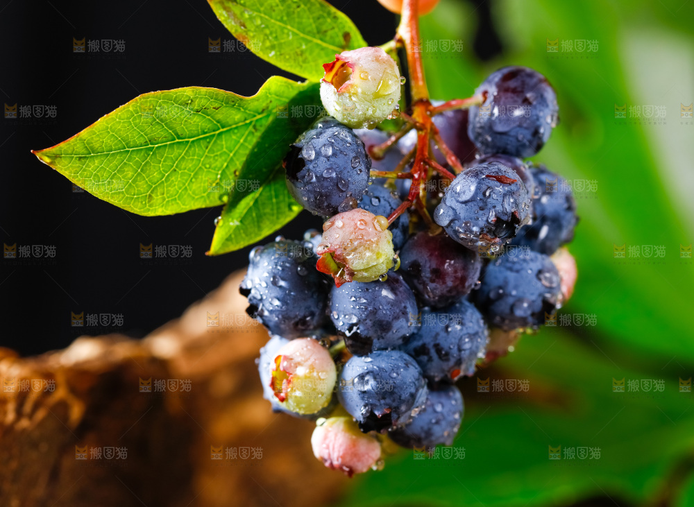 深底上的蓝莓