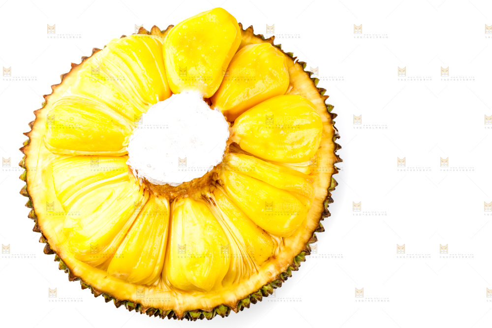 白底上的海南菠萝蜜