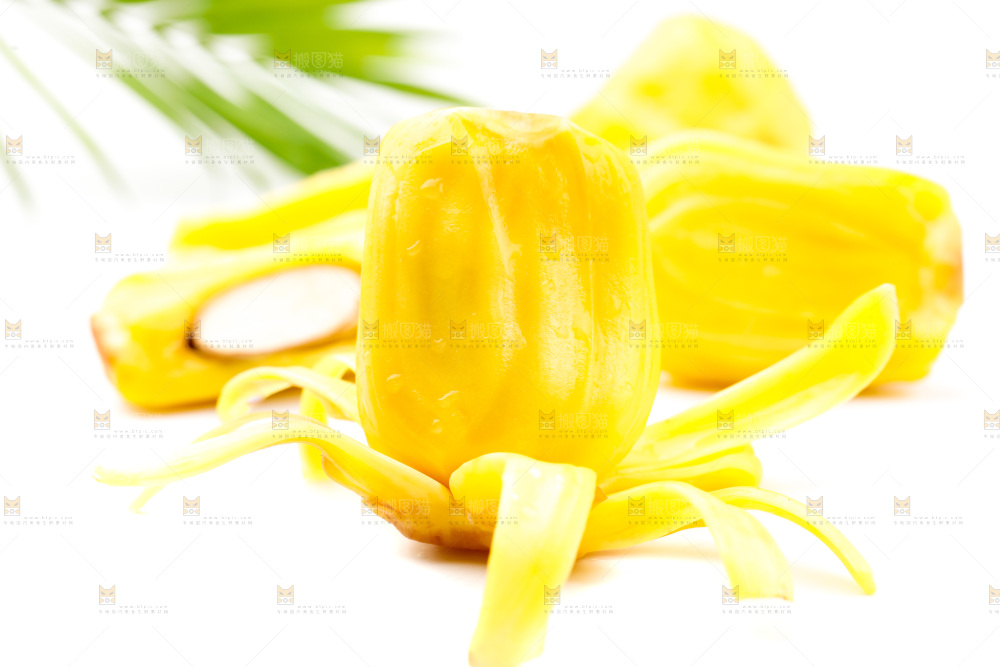 浅底上的黄肉菠萝蜜