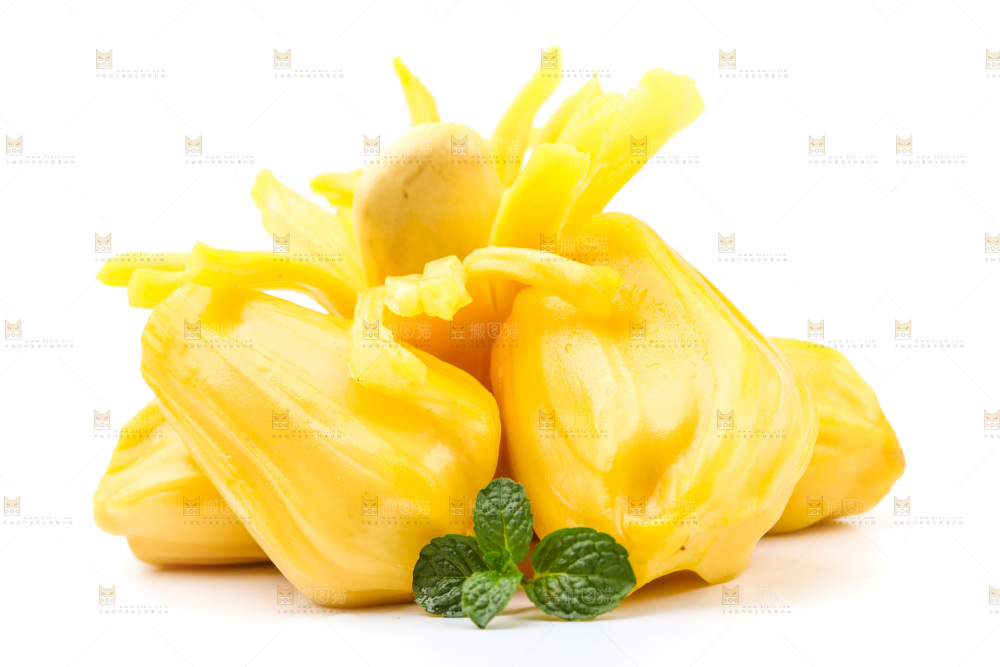 浅底上的海南菠萝蜜