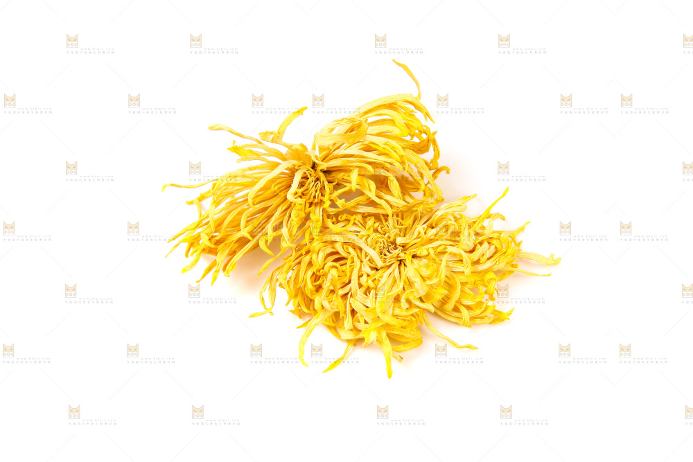 白底上放着干菊花
