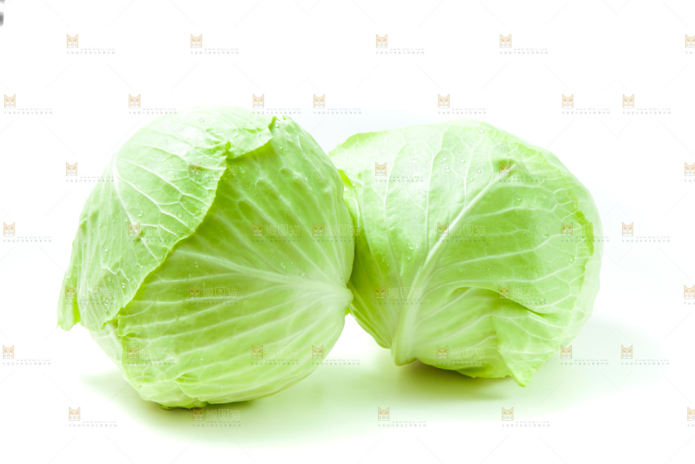 白底上的包菜