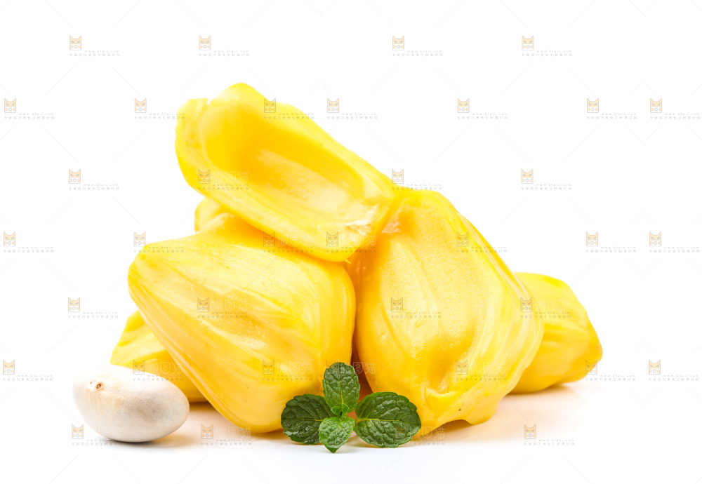 浅底上的海南菠萝蜜