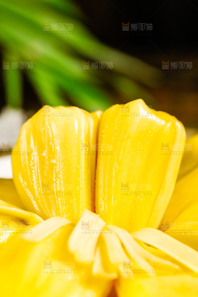 垫子上的菠萝蜜